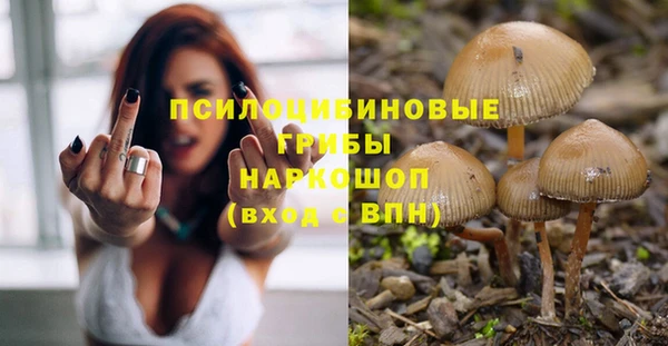 ECSTASY Няндома